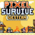 Pixel Survive Western