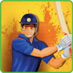 Super Cricket