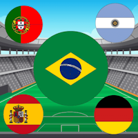 World Cup Flag Match